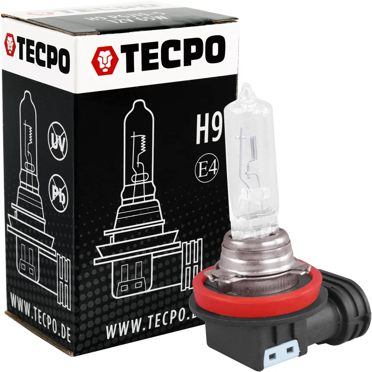 TECPO Glühbirne H9 12V 65W, PGJ19-5